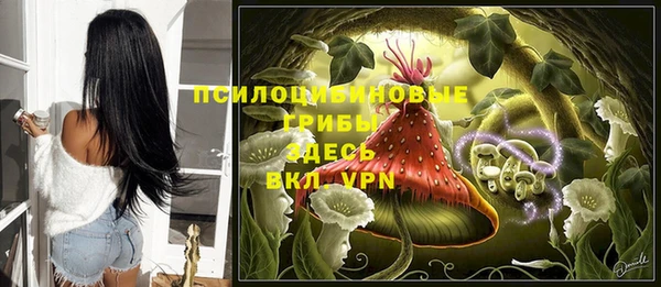прущая мука Вязьма
