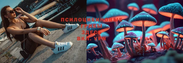 спайс Вяземский