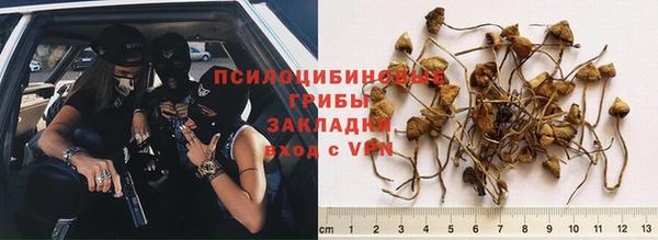 прущая мука Горнозаводск